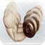 StrongDC++