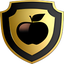 STEEL BACKUPS