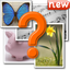 Guess the word by 4 pics