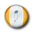wxMusik