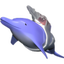 Laser Dolphin