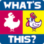 What's This?