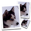 SmillaEnlarger