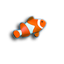 3D Tropical Aquarium Screensaver