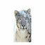 Snow Leopard Wallpaper