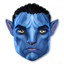 James Cameron's Avatar: Das Spiel