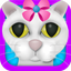 Gato Salón de Belleza