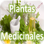 Plantas Medicinales