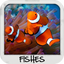 Fish Wallpapers