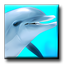 Digifish Dolphin