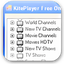Kite Player