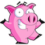 Videohog Free