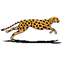 Free Pascal