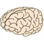 Voc2brain