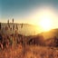VistaMizer Windows Vista Wallpaper Pack