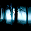 Slender's Woods