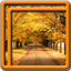 Autumn Live Wallpapers