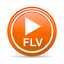 FLV Player