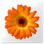 Artweaver Plus