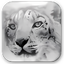 SnowChecker
