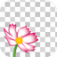 背景透過