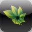 Photosynth