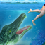 Crocodile Attack 2017
