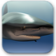 National Geographic Underwater Predators Screensaver