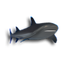 Digifish AquaReal