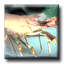 Free 3D Marine Screensaver