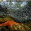 National Geographic Extreme Earth Screensaver
