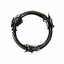 The Elder Scrolls Online: Summerset