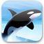 Orca Browser