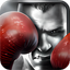Real Boxing