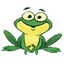 Wetterfroschi