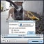 DivX Browser Plug-In Beta