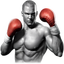 Real Boxing