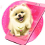Cute Fluffy Puppy Live Wallpaper