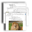 EXIF Viewer