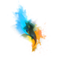 Bloom Image Viewer