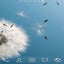 S3 Wallpapers