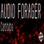 Audio Forager