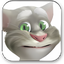 Talking Tom Cat 2