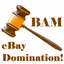 BAM Seeker