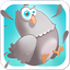 Il est con ce pigeon
