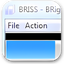 Briss