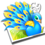 Aviary Peacock