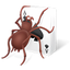 Free Spider Solitaire 2012