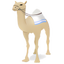 Dragoman