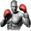 Real Boxing